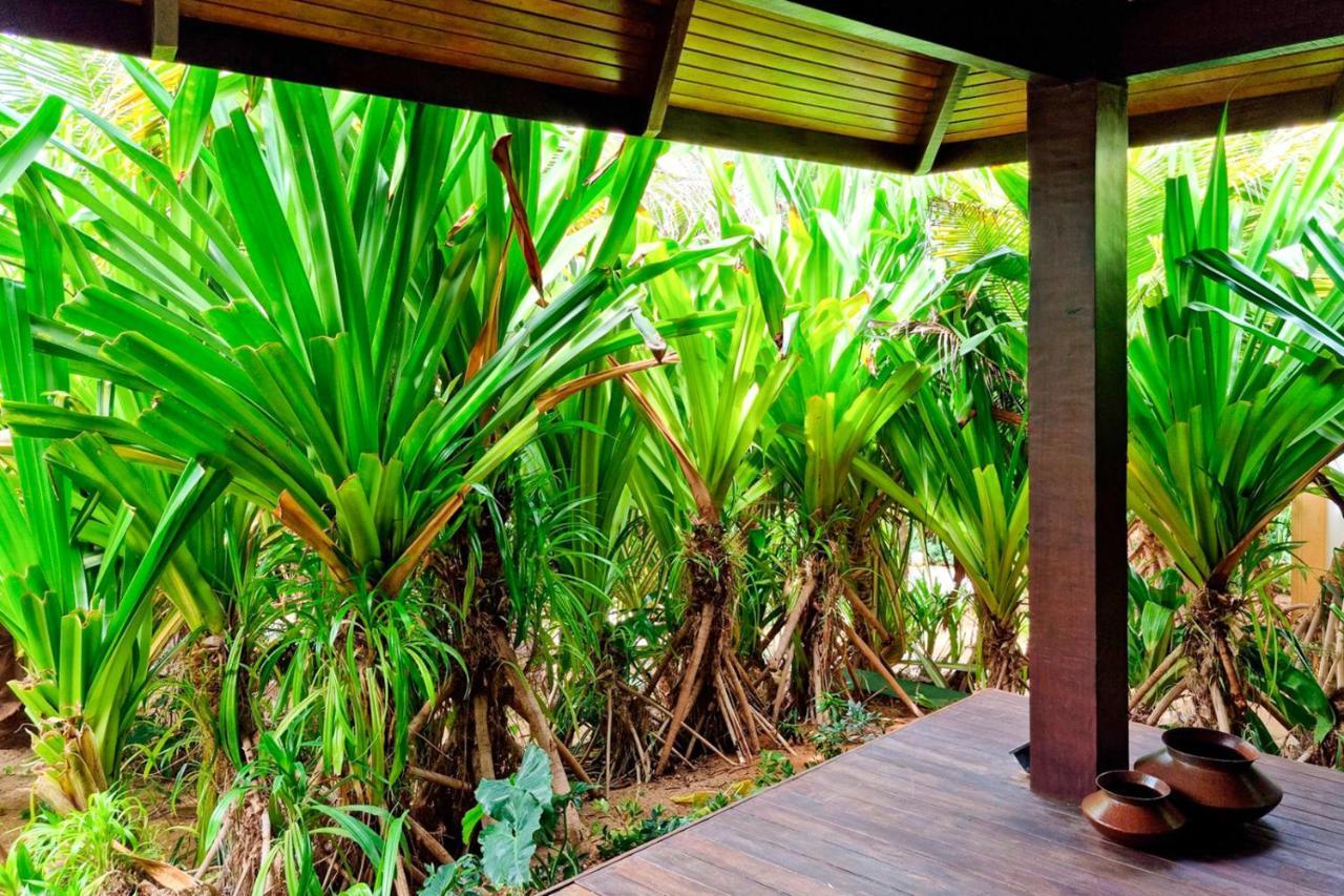 Zorah Beach Hotel Trairi Bagian luar foto